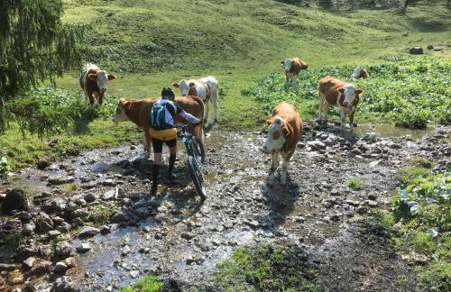 Landhaus Renata Bayrischzell - Foto 56