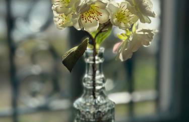 Villa Schuwardt auf Nordend - Foto 25