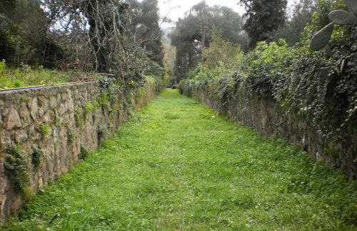 The Olive Tree House - Foto 68