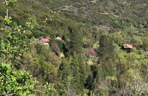 The Badger House - Foto 28