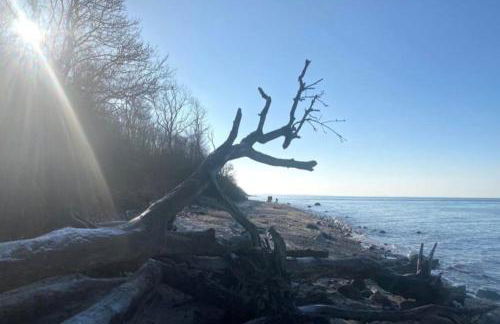 Fewo Horst 3 blau - Foto 13