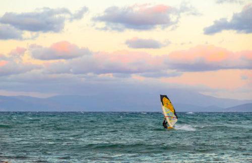 Peach Pine House - Escape Near City, Beach and Athens Airport - Foto 51