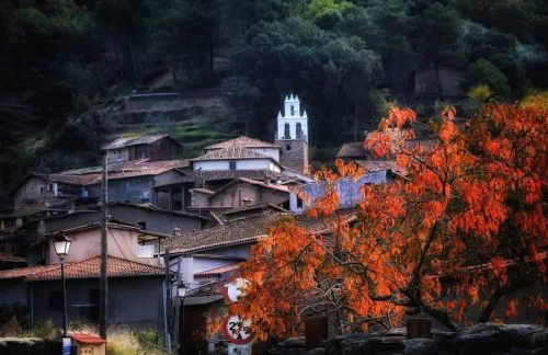 Luna Menguante - Foto 33