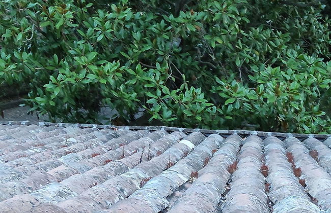 Belvilla by OYO Villa di Maria Laura - Photo 36