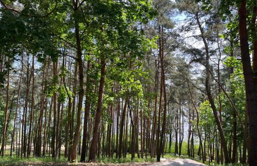 Gold Pearl Zegrze - Foto 44