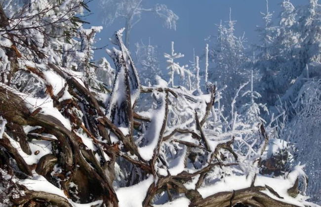 Comfy Apartment in Salmensbach near River - Photo 29