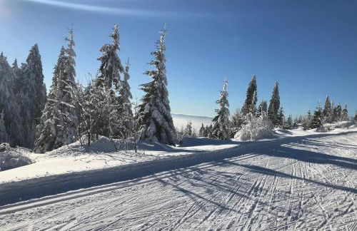 Ferienhäuser Schlossberg - Foto 61