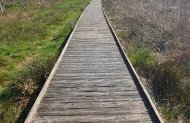 Fewo David und Marion oben, nahe der Nordsee und dem Weser Radweg - Foto 20