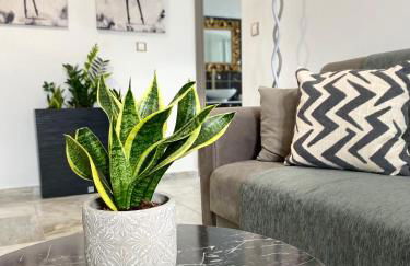 Zandre Luxury Suites - Photo 17