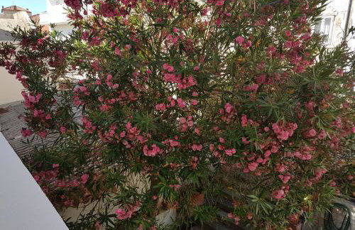 Villa Spanjol - Foto 41