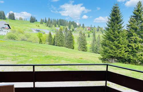 Mitten auf dem Feldberg Panorama Apartment Bergglück - Foto 22