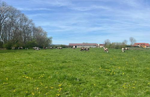 Au Cœur de la Vannerie - Foto 12