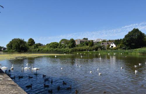 2 Bed in Clynderwen oc-82445 - Foto 34