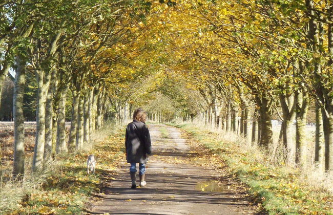 Manor Farm B & B - Foto 50