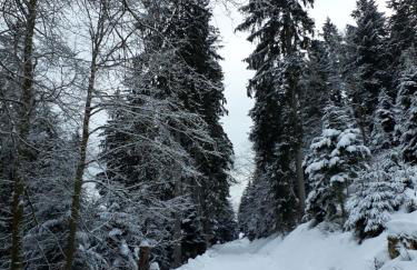 Isoldes Landhaus - Foto 39