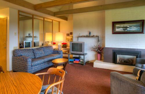 The Grey Gull - Foto 58