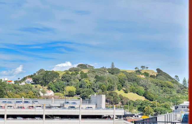 Spacious Mt Eden Apartment - Foto 22