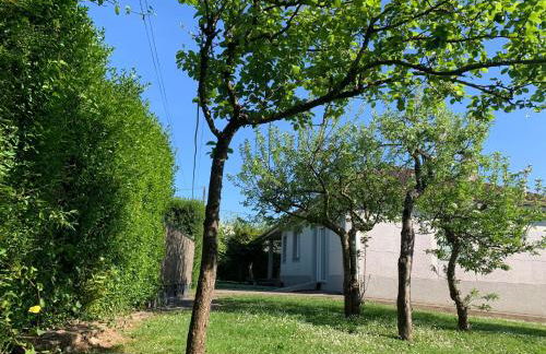 Casa Otilia - Rural - Camino de Santiago - Arzúa - Foto 43