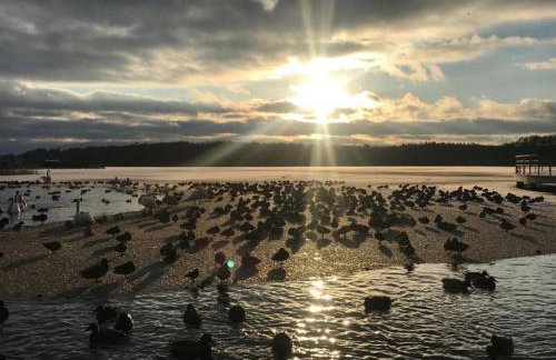 Apartament Ptasie Radio - Foto 22