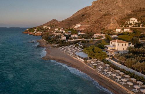 Hydra Erato - Foto 1