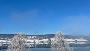 CHALET-MICHEL avec SPA - Foto 3