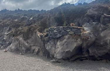 La casita del fin del mundo en La Palma - Foto 30