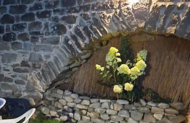 THE DORMOUSE - Il Ghiro - Foto 28