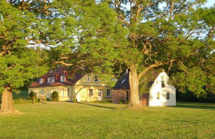 Gut-Rattelvitz-Galerie-F-hochwertig-Sauna-Kamin-eTankstelle-Spielscheune-15-000qm-Park-Land - Foto 17