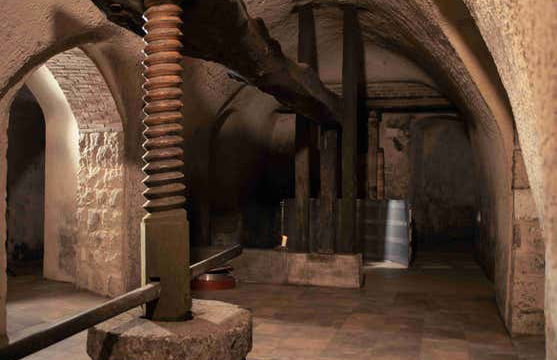 Visita a Eme Bodegas - Foto 11