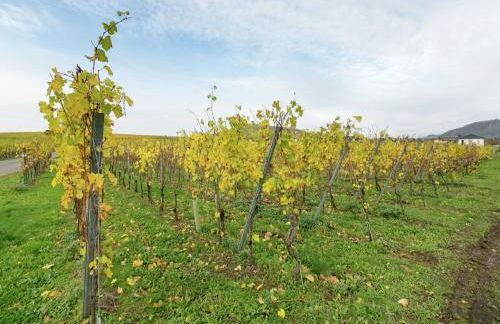 Ferienhaus in Liebenscheid nahe Fuchskaute - Foto 22