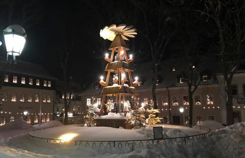 Apartments Fichtelberger Blick - Foto 76