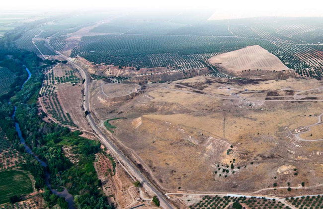 Visita guidata del sito archeologico di Cástulo - Foto 4