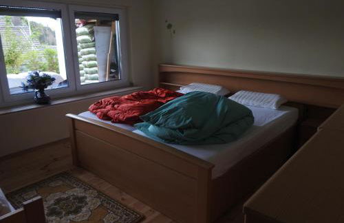 Rusti Deifeld - Foto 15