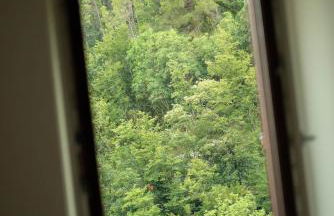 Il Giardino Dorato - Foto 69