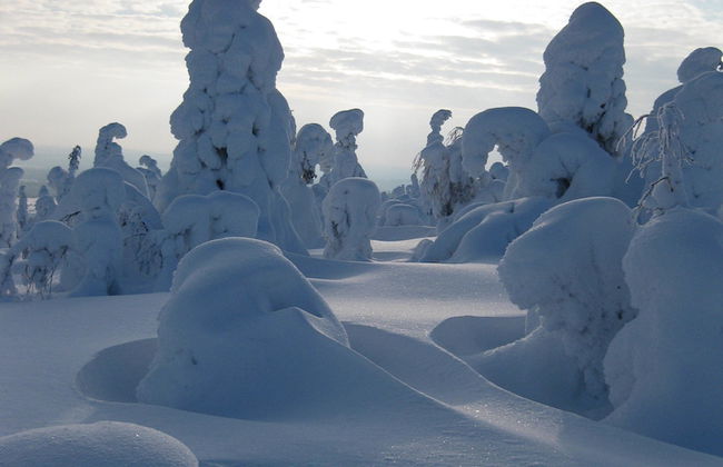 Wilderness chalet Kuusamo - Foto 80