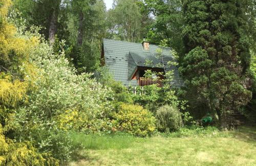 Domek w Lesie - Foto 37