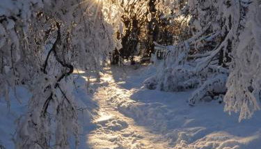 Bungalow Schwarzatalblick in Bad Blankenburg Ortsteil Böhlscheiben - Foto 4