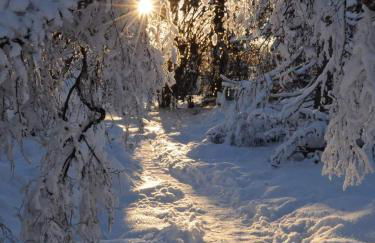 Bungalow Schwarzatalblick in Bad Blankenburg Ortsteil Böhlscheiben - Foto 4