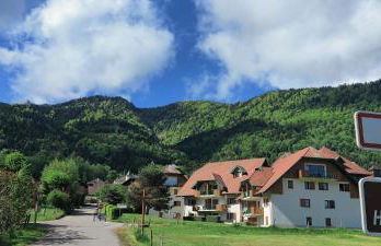 C le birdie - Foto 1