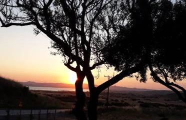 Paliokaliva Home - Foto 19