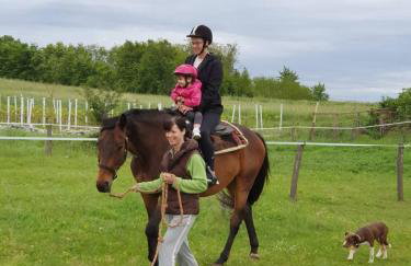 Golden Valley apartment & ranch - Foto 31