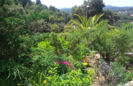 Holiday Home Cardona - Foto 48