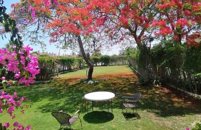 Marina Village North Coast - Photo 14