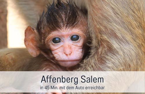 Gemütlich*Stylisch*Netflix*Blick ins Grüne* - Foto 52