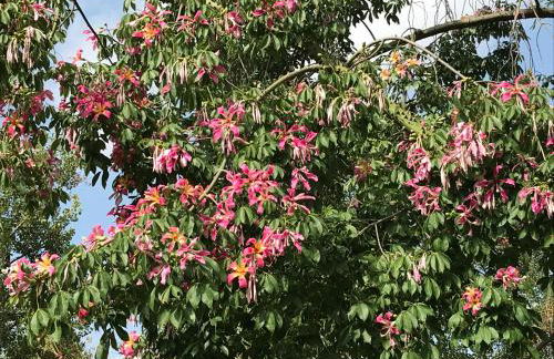 Appartement Elsa Valencia - Photo 75