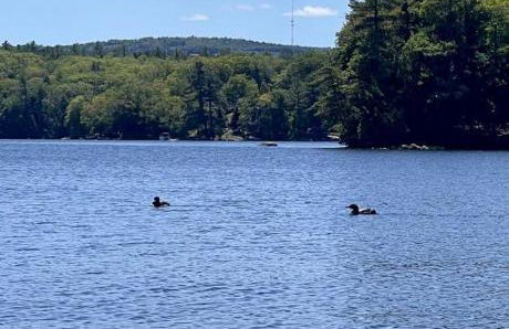 Lakefront Cottage on Brewer Lake - Foto 43