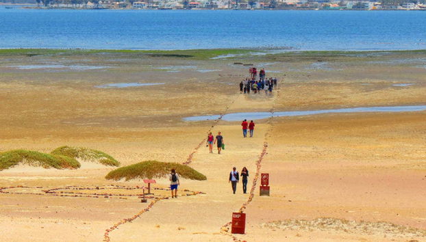 Percorrendo a Reserva de Paracas