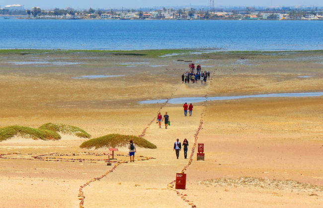 Îles Ballestas + Réserve Nationale de Paracas - Photo 3