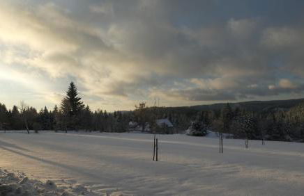 Naturapartment SCHWARZWALDSEELE Kniebis - Foto 4