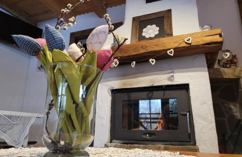 Zagroda Krasna - Photo 12